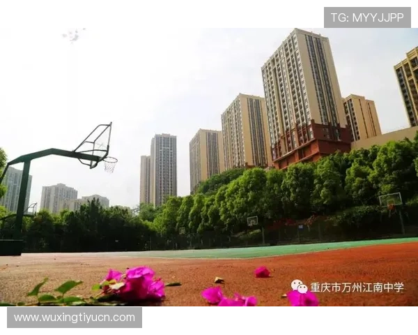 江南体育全面解析：如何提升你的体育竞技水平与健康生活方式