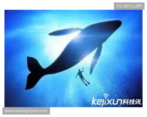 蓝鲸真人视讯多样化游戏类型推荐满足不同玩家的娱乐需求与偏好