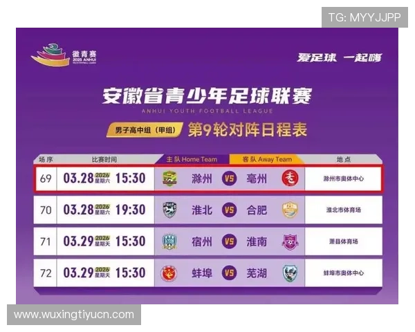 金牌体育赛事全攻略，详细解析各大体育赛事的精彩看点与观赛指南，满足你的赛事关注需求